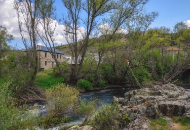 El Secreto del Bosque I - La Omañuela (León)